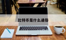 比特币是什么通俗(比特币是什么玩意儿)