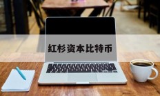 红杉资本比特币(红杉资本 filecoin)